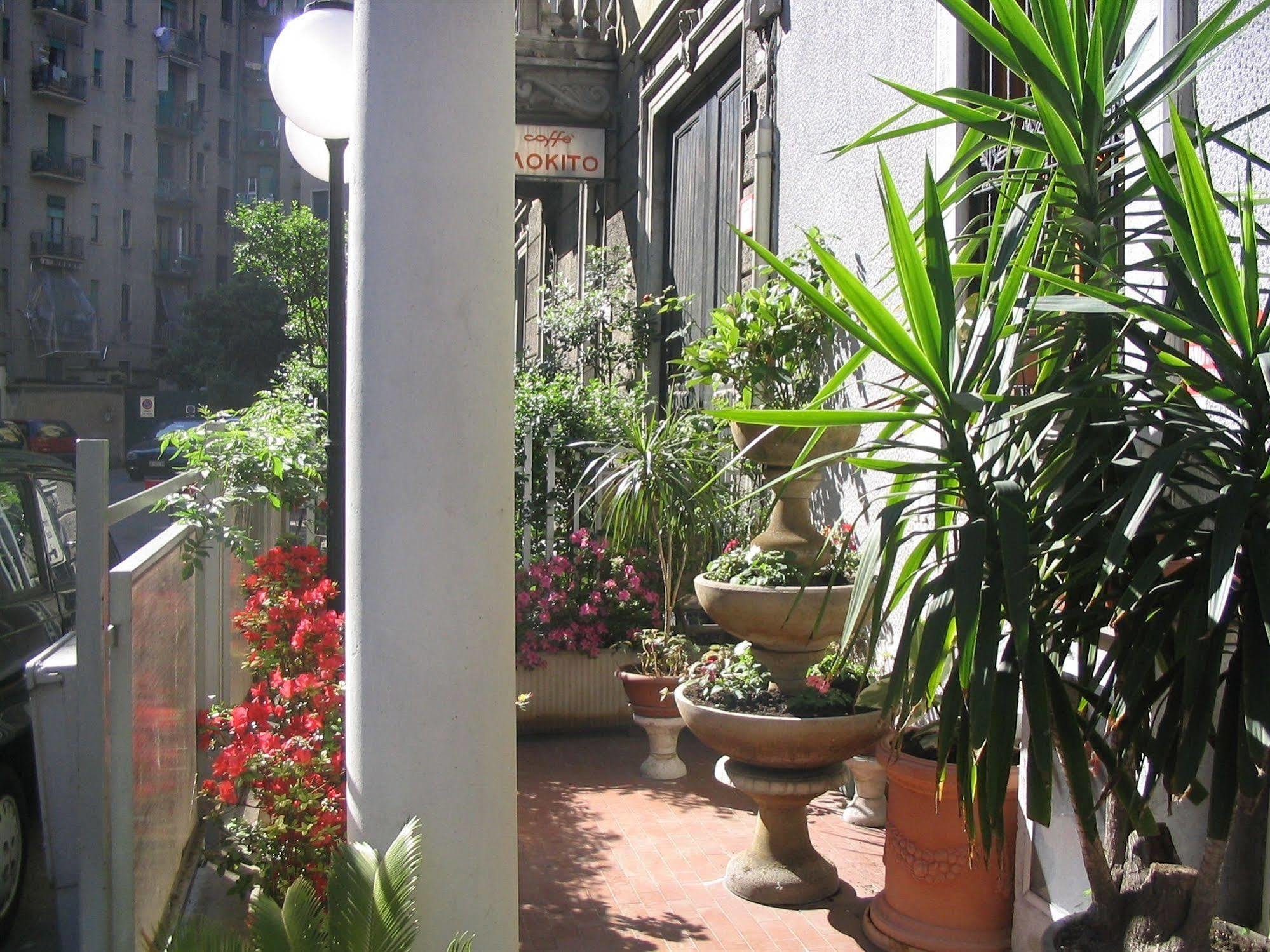 Mayorca Hotel 3*