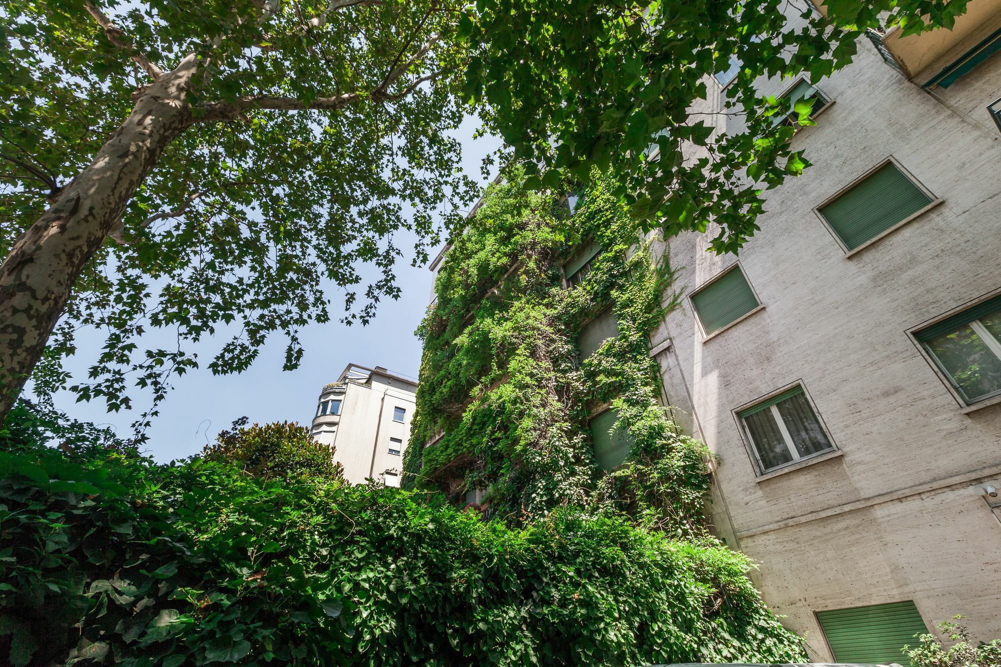 Apartamento Majno *