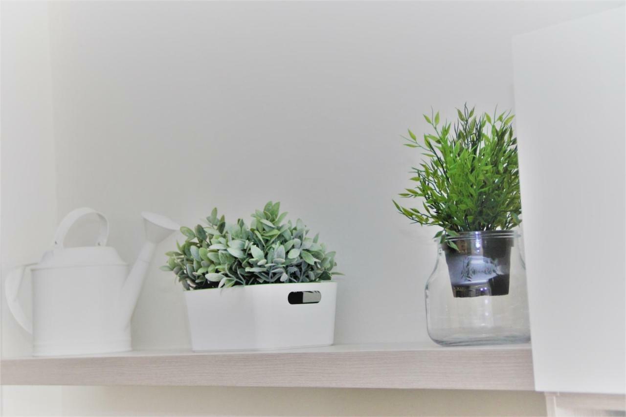 Downtown Eco Chic Apartment