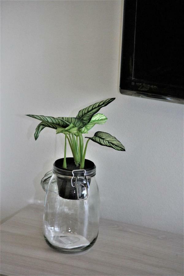 Apartment Downtown Eco Chic *
