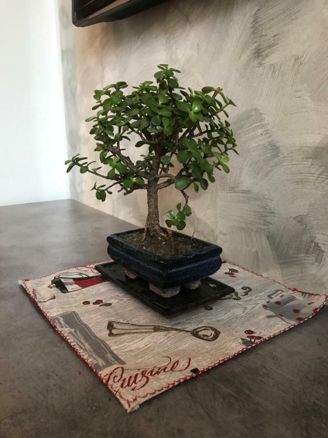Apartamento Accogliente Bilocale *
