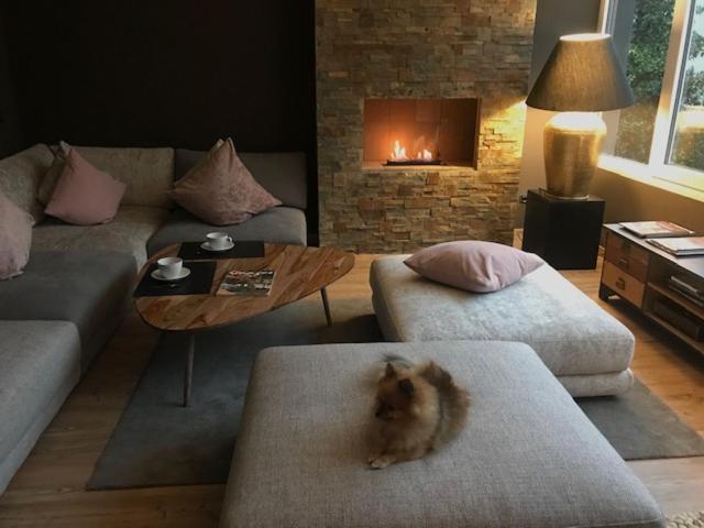 Apartamento Experience Style *