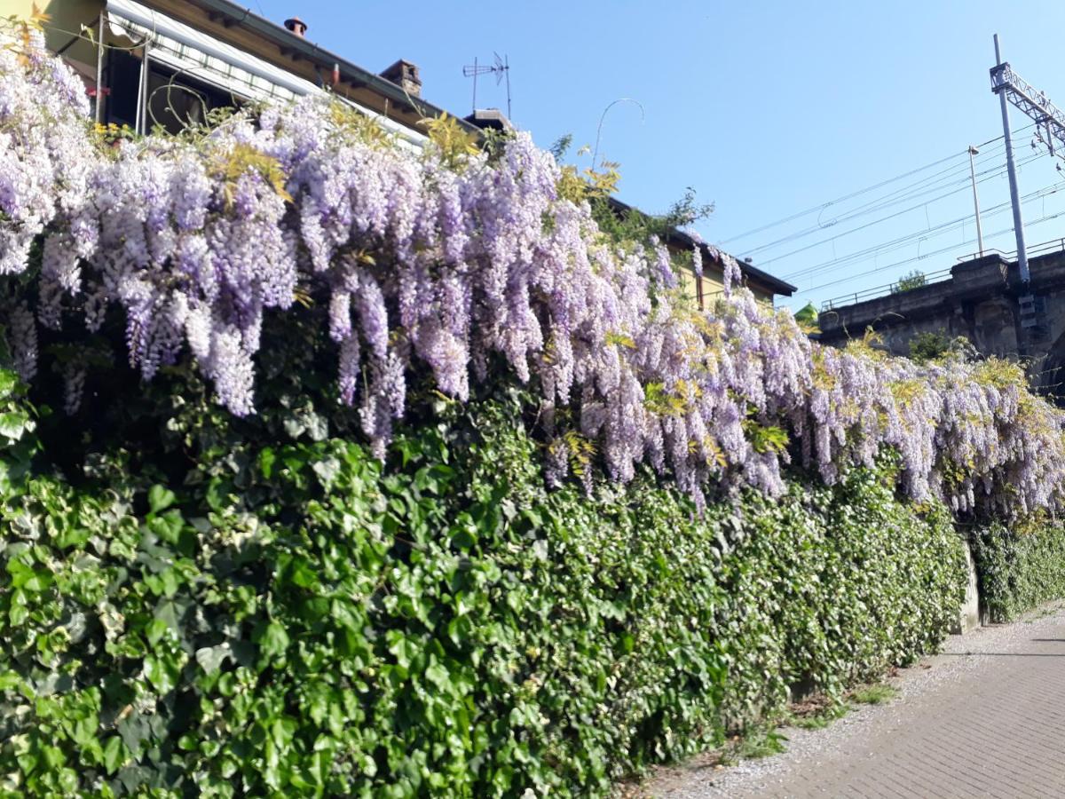 Casa Somare