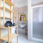 Bellissimo Bilocale Con Terrazzo