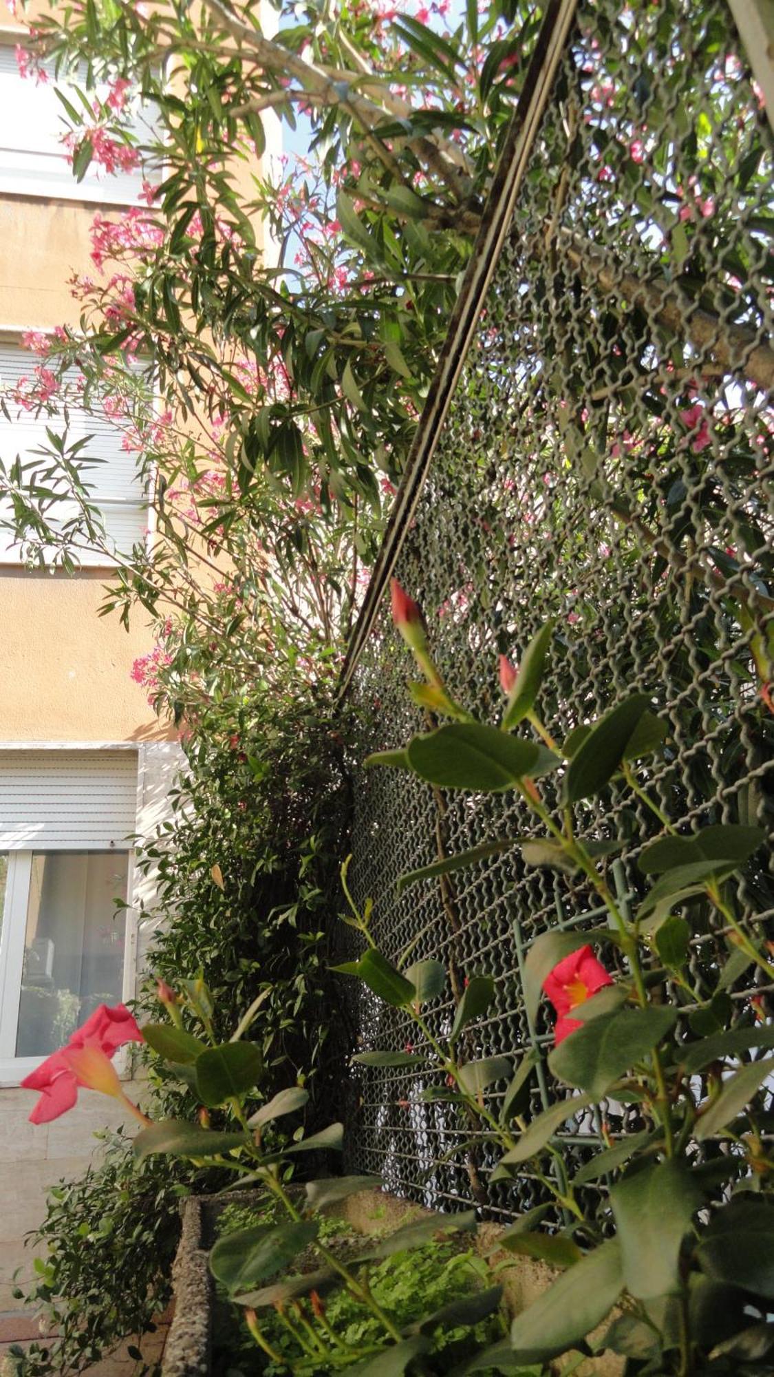 Giusti 6