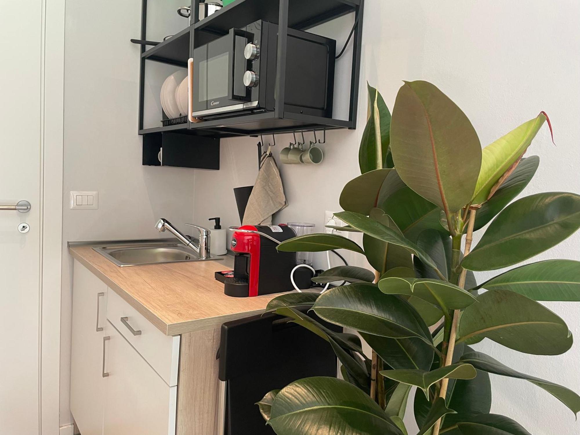 Apartment Little - Lm2 - Lm3 - Lm4 *