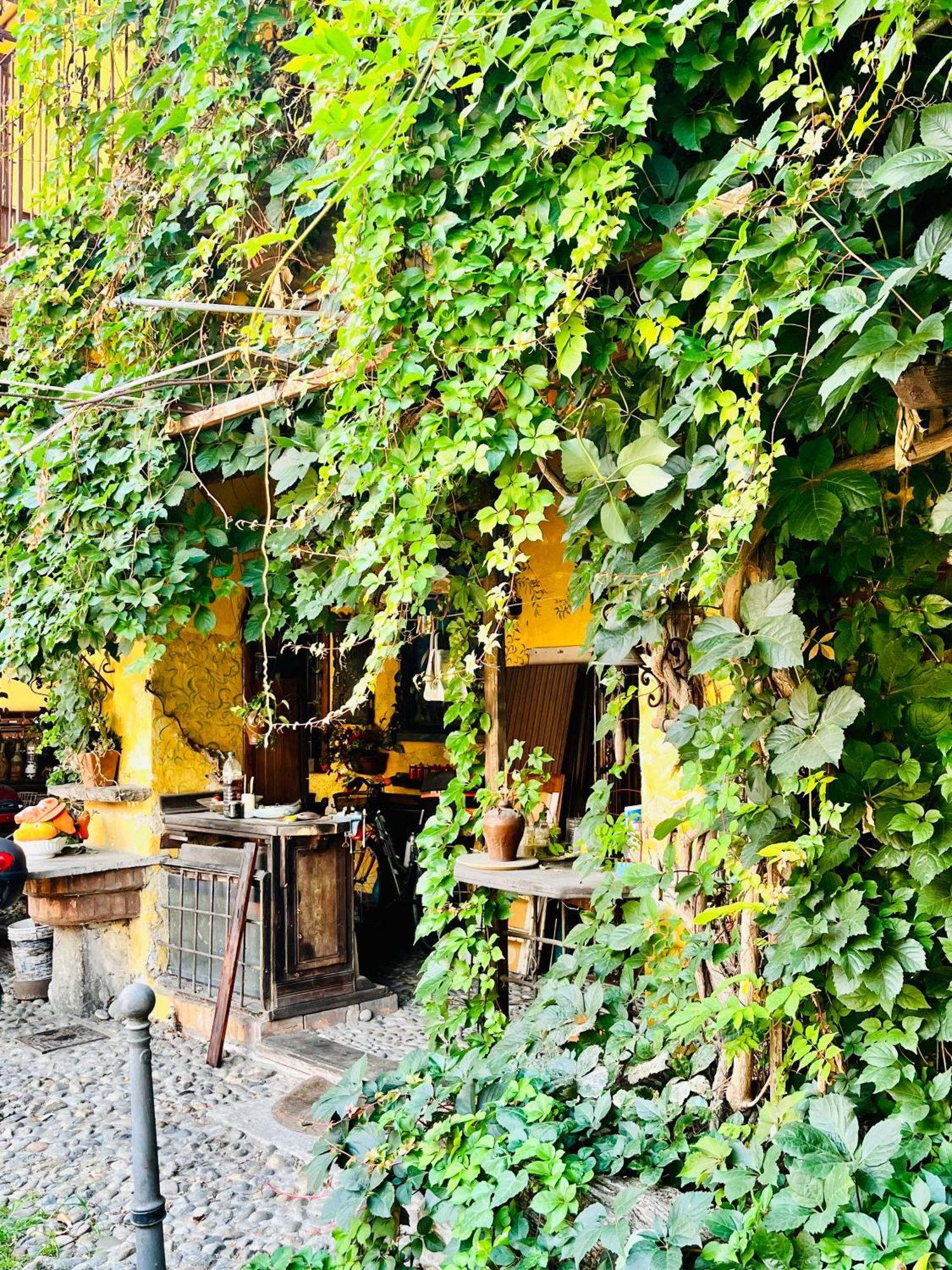 Apartment San Raffaele