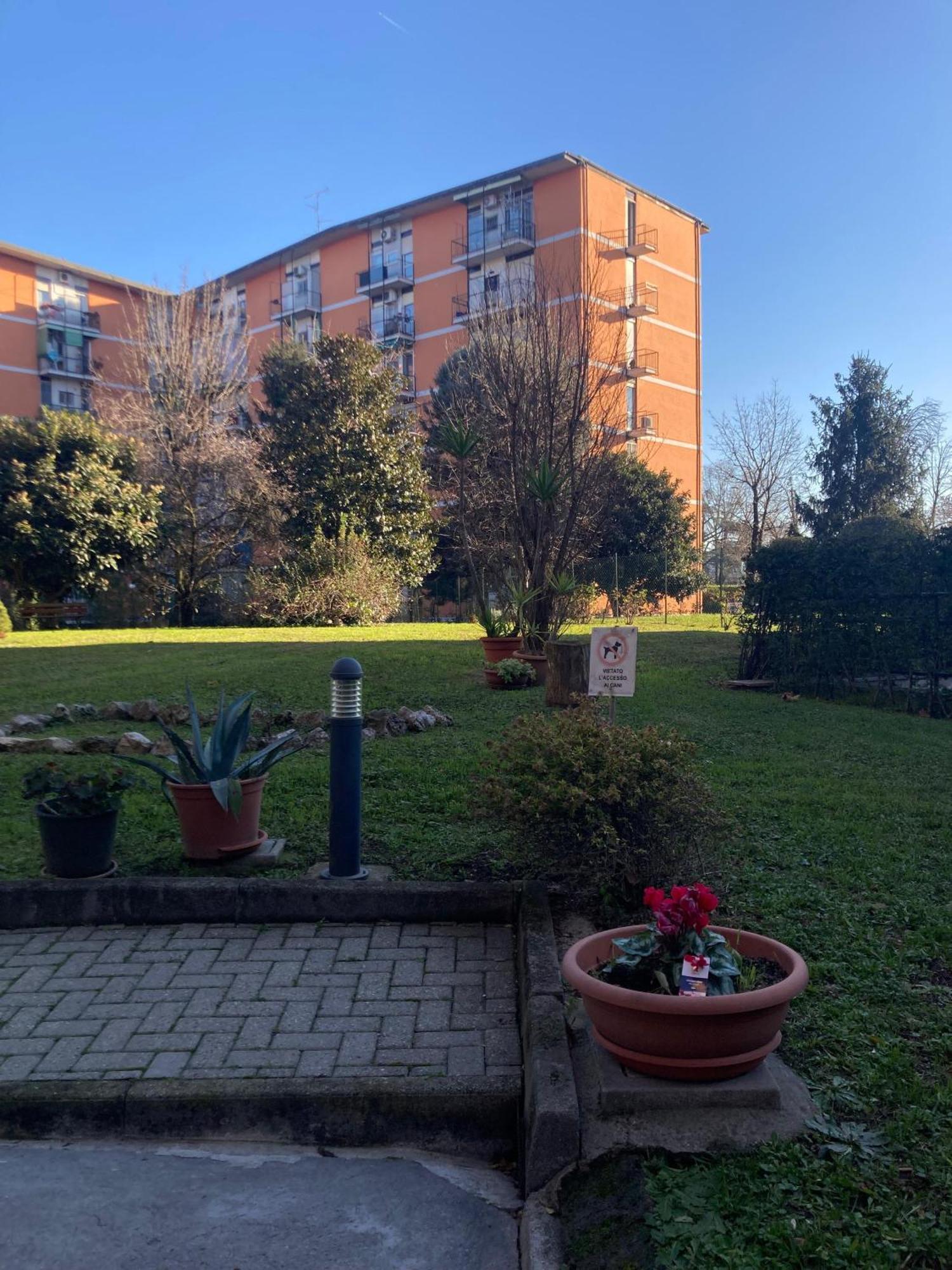 Domus Iulia