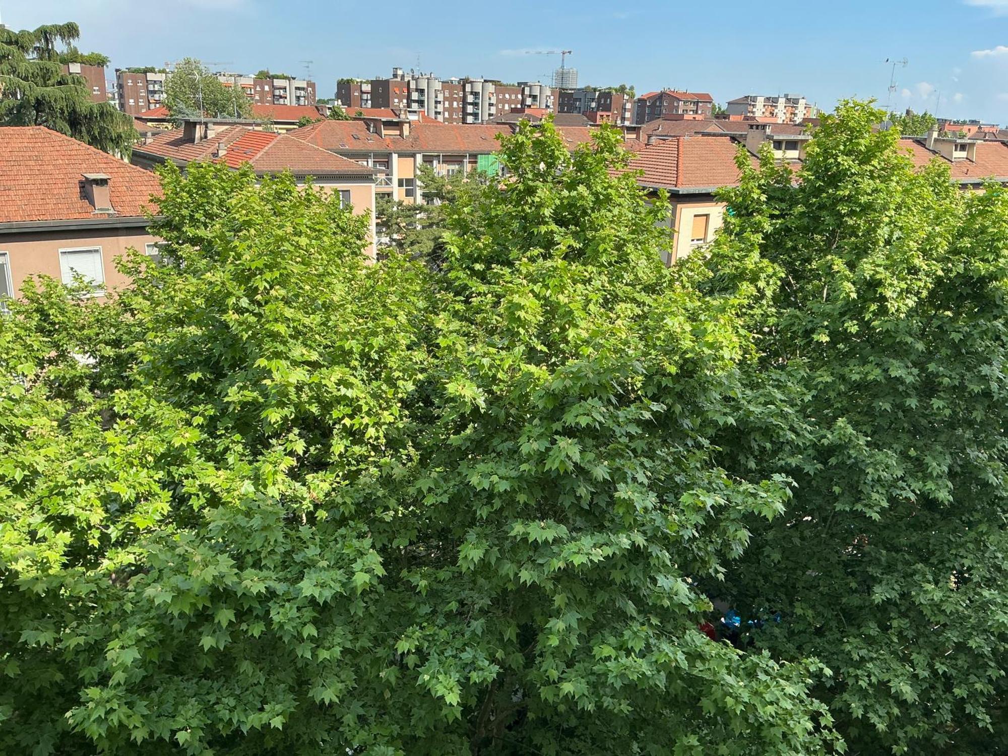 Apartment 1p Mailand
