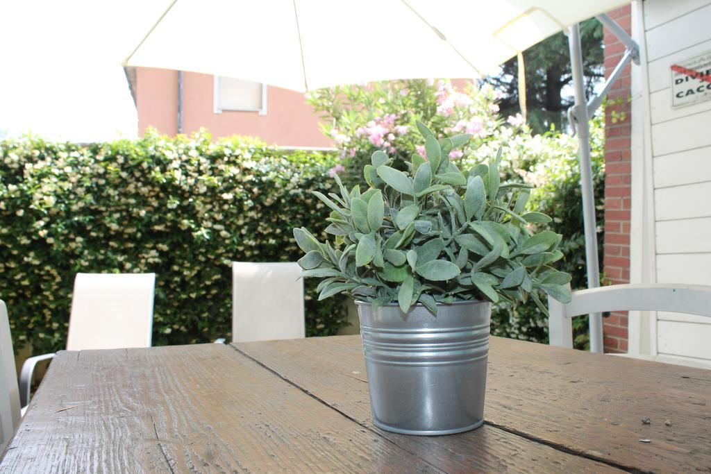 Ornato Garden Apartment