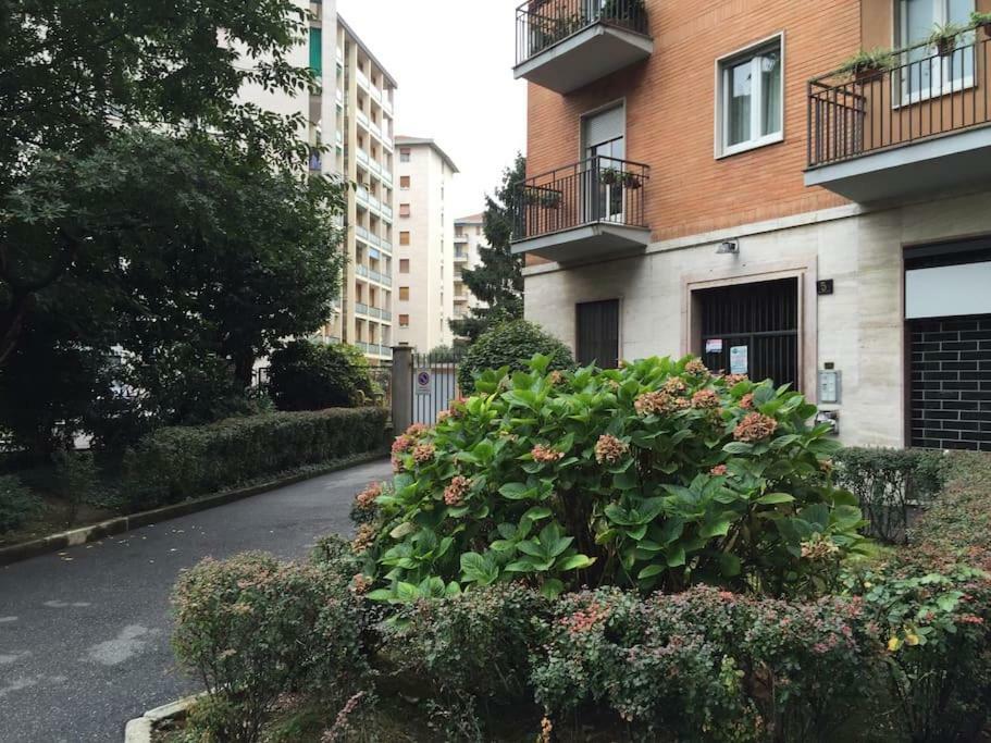 Melozzo Apartamento