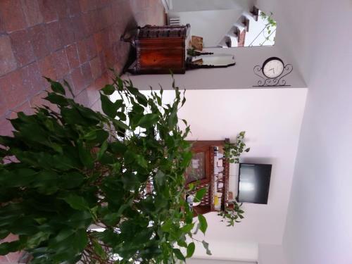 Gioia House Acomodação com café da manhã  2*