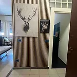 Wild House