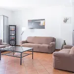 Suitelowcost Stilicone