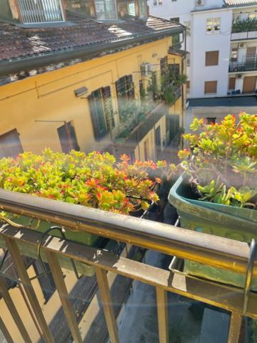 Bomboniera Via Marghera 37 Apartment