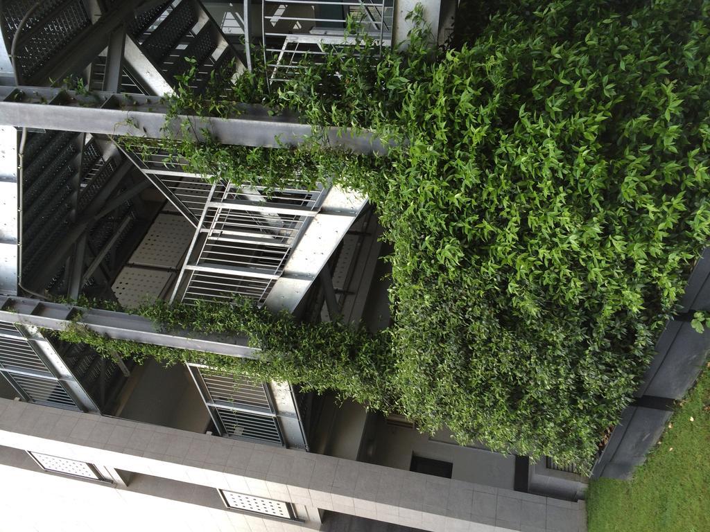 Acca Palace Aa 4*