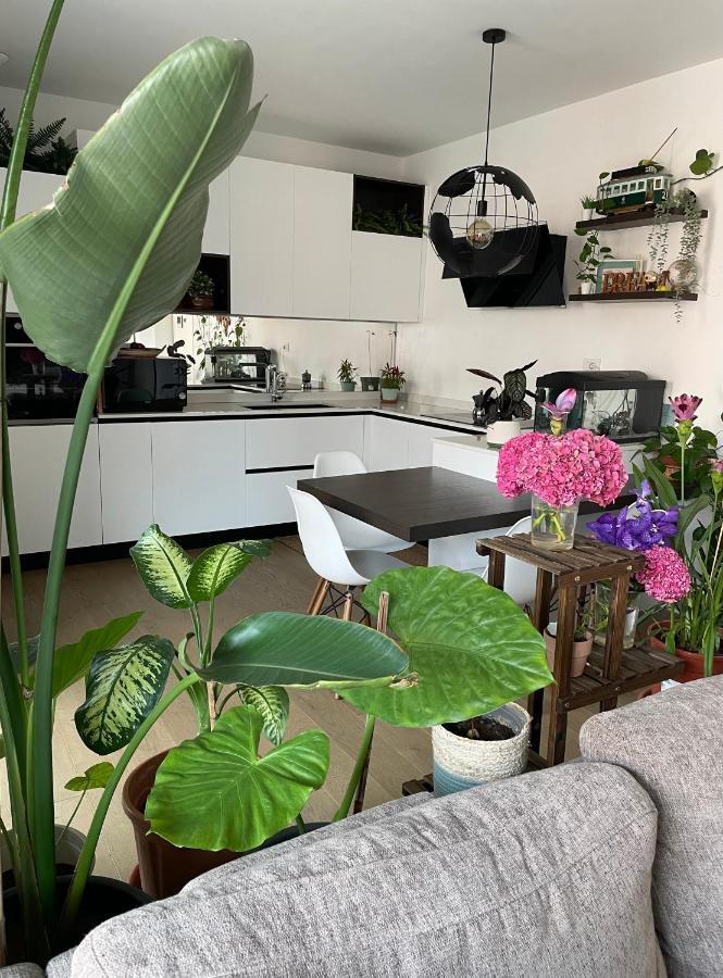 Privatunterkunft Mowgli House - Luxury Private Mailand