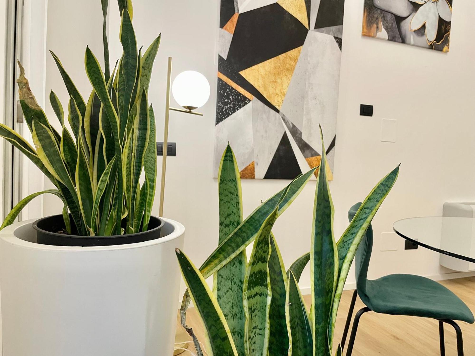 Loft Manifatture2 *