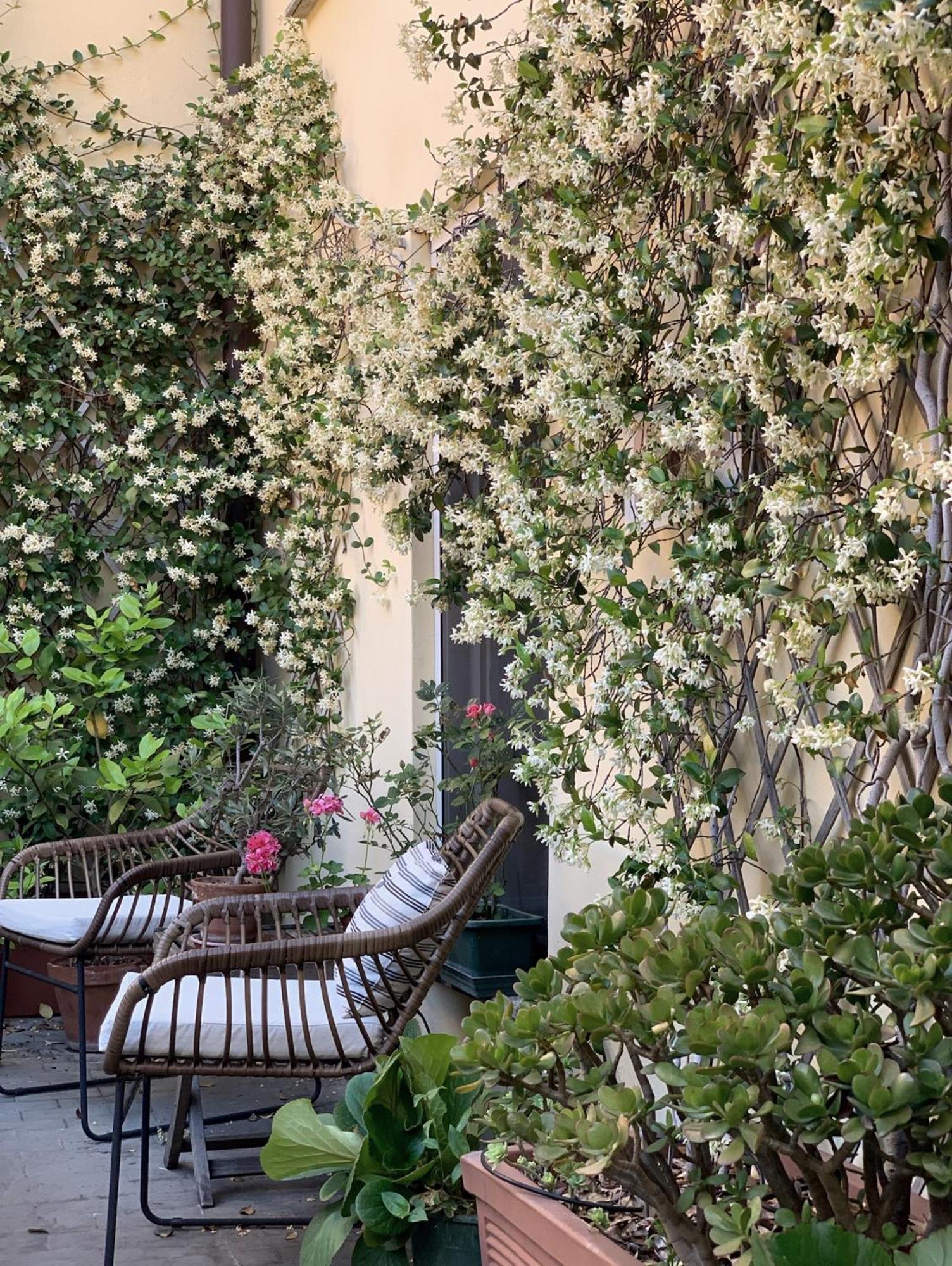 Gioia House