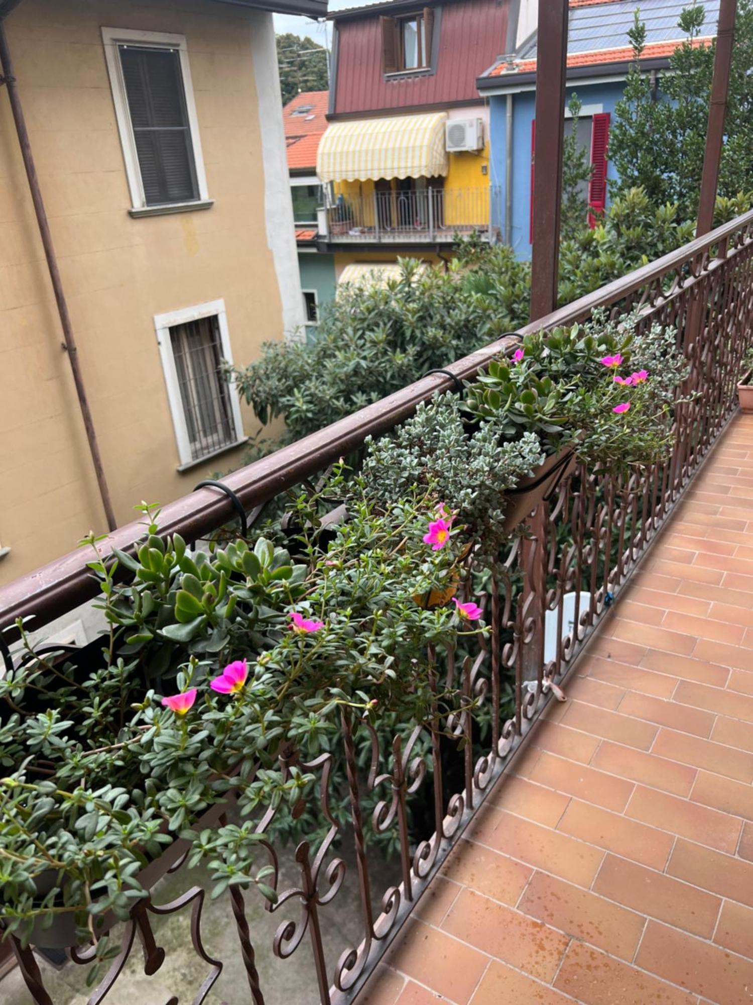 Apartment Bassano32 Compact Il Tuo Rifugio Sul Parco Trotter Milan