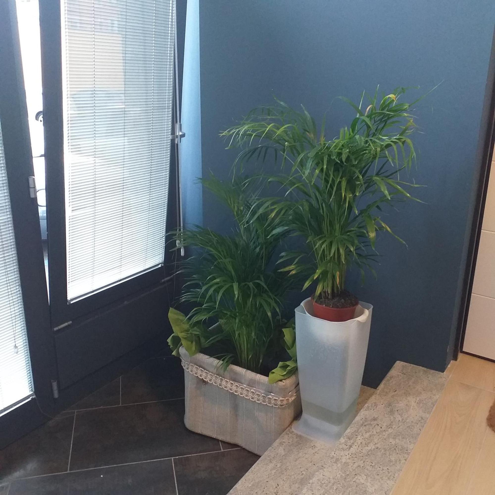 Gaby's Flat - Citylife, * Milan