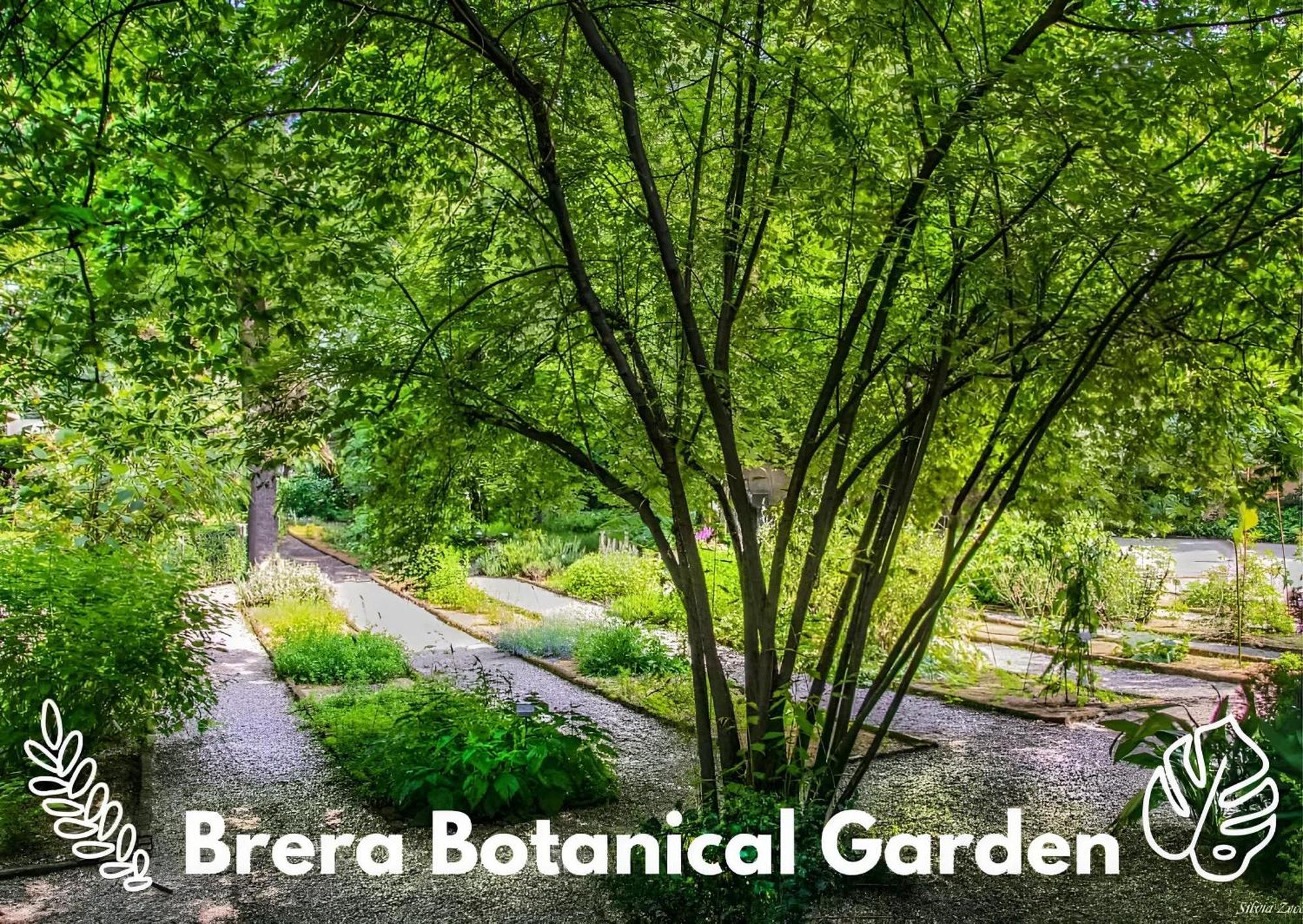 Apartment Brera Vip Spotlight - Brera - Duomo - Castello Sforzesco - Lanza Metro M2