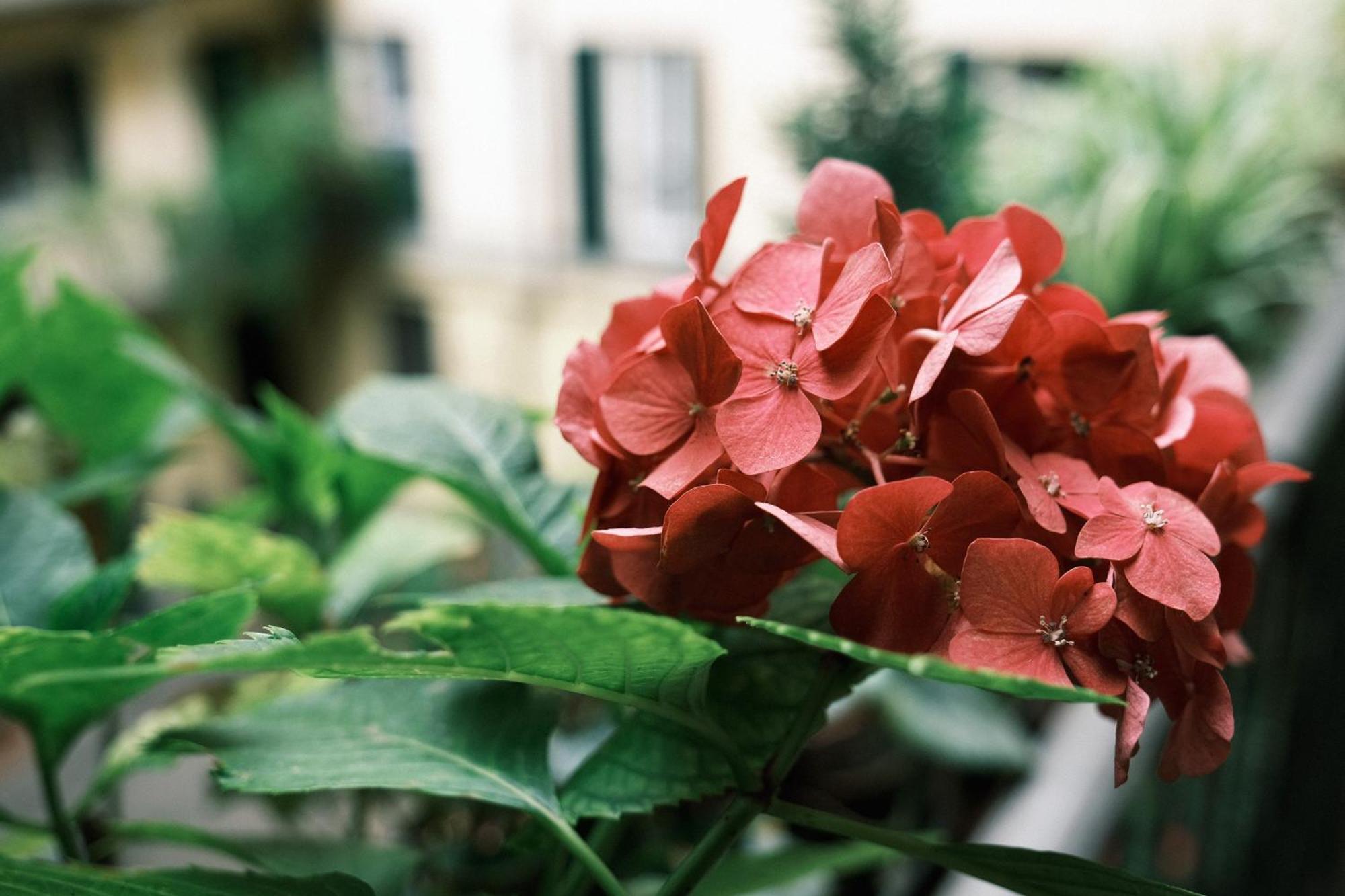 Apartment Comecasa Vicino Stazione Mailand