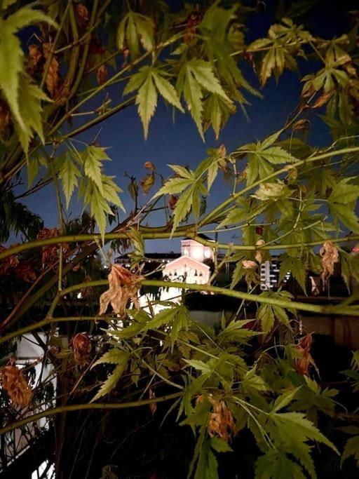 Stazione A 3 Min-filzi 41 Apartment *
