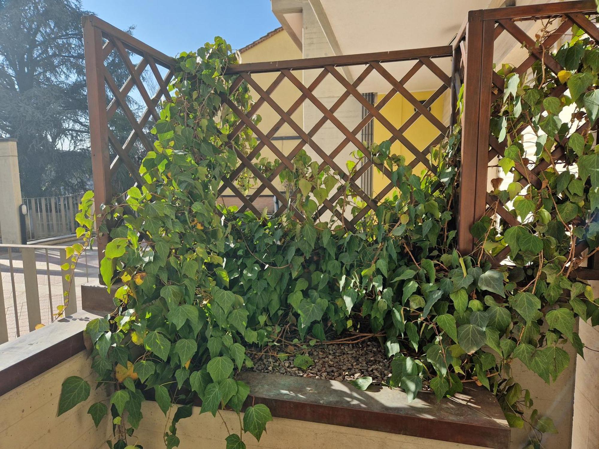 Amazing Terrace Milão
