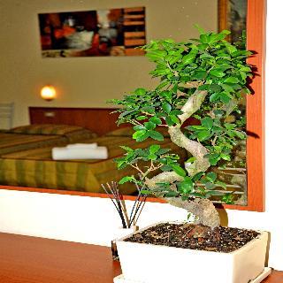 Hotel San Siro Fiera Mailand